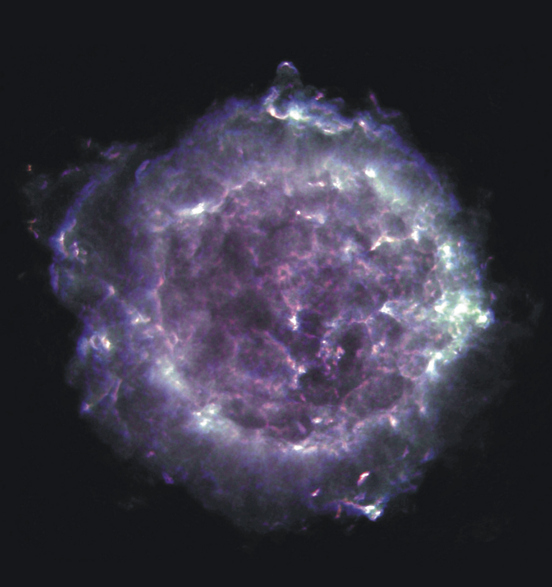 Cassiopeia A supernova remnant radio