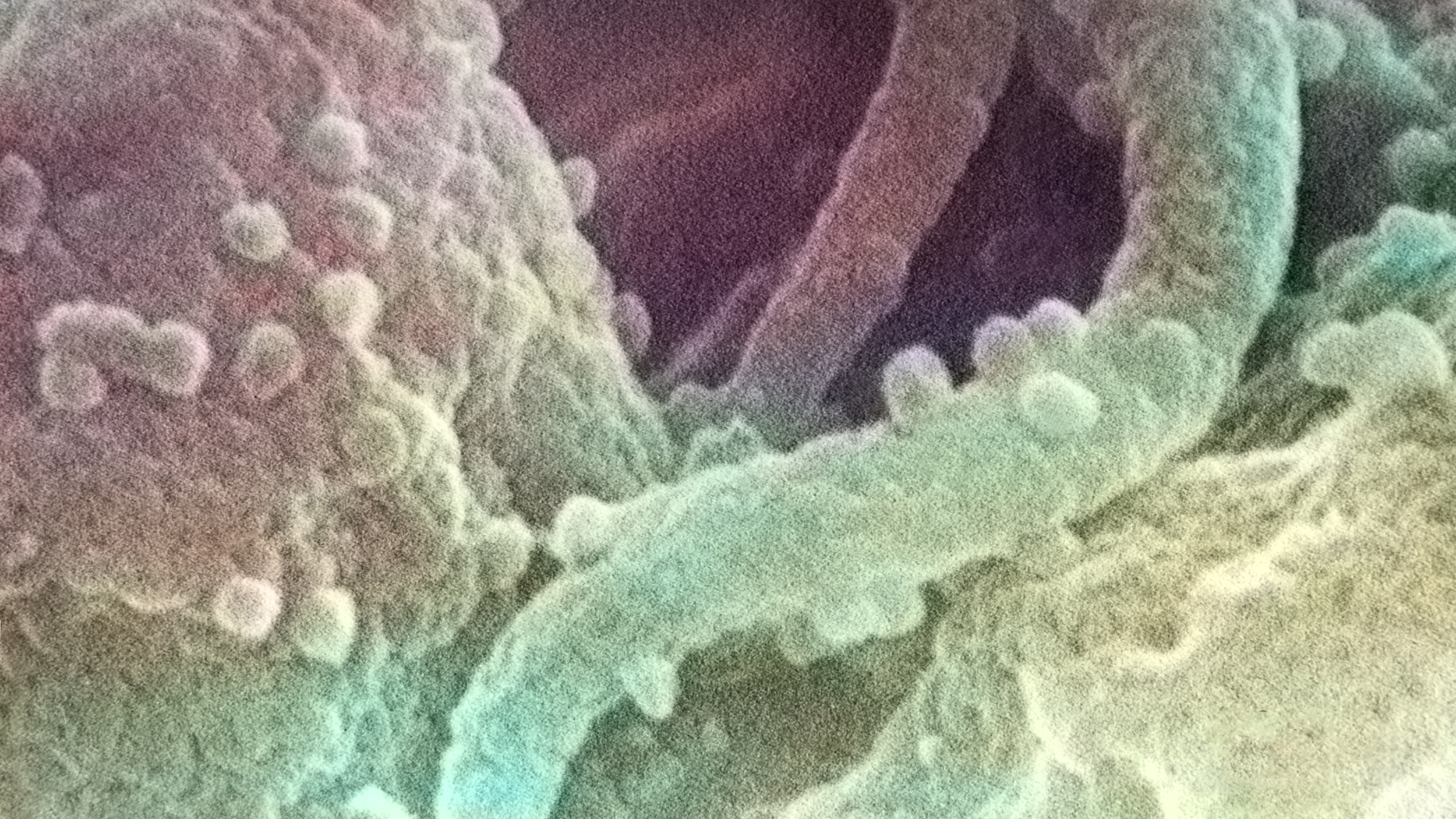 A close up image of a cell exhibiting immune resilience.
