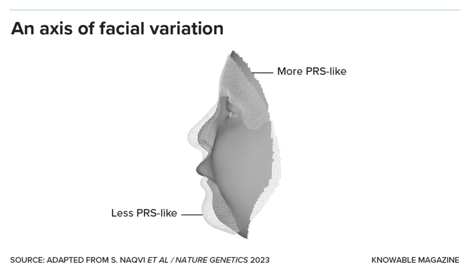 An axes of genetic facial variation that influences family resemblance.
