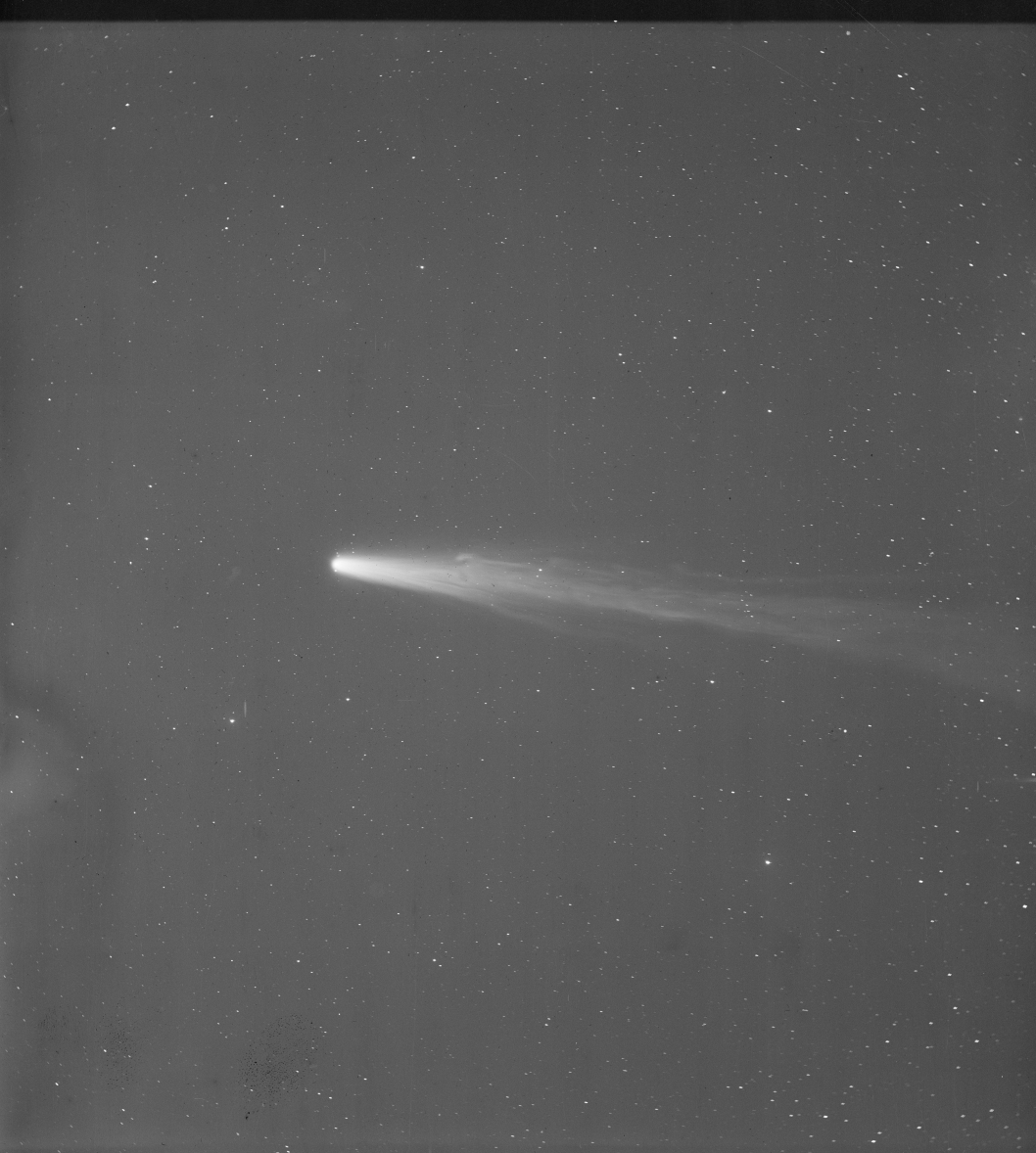 A black and white photograph of Halley's comet in the sky from 1910