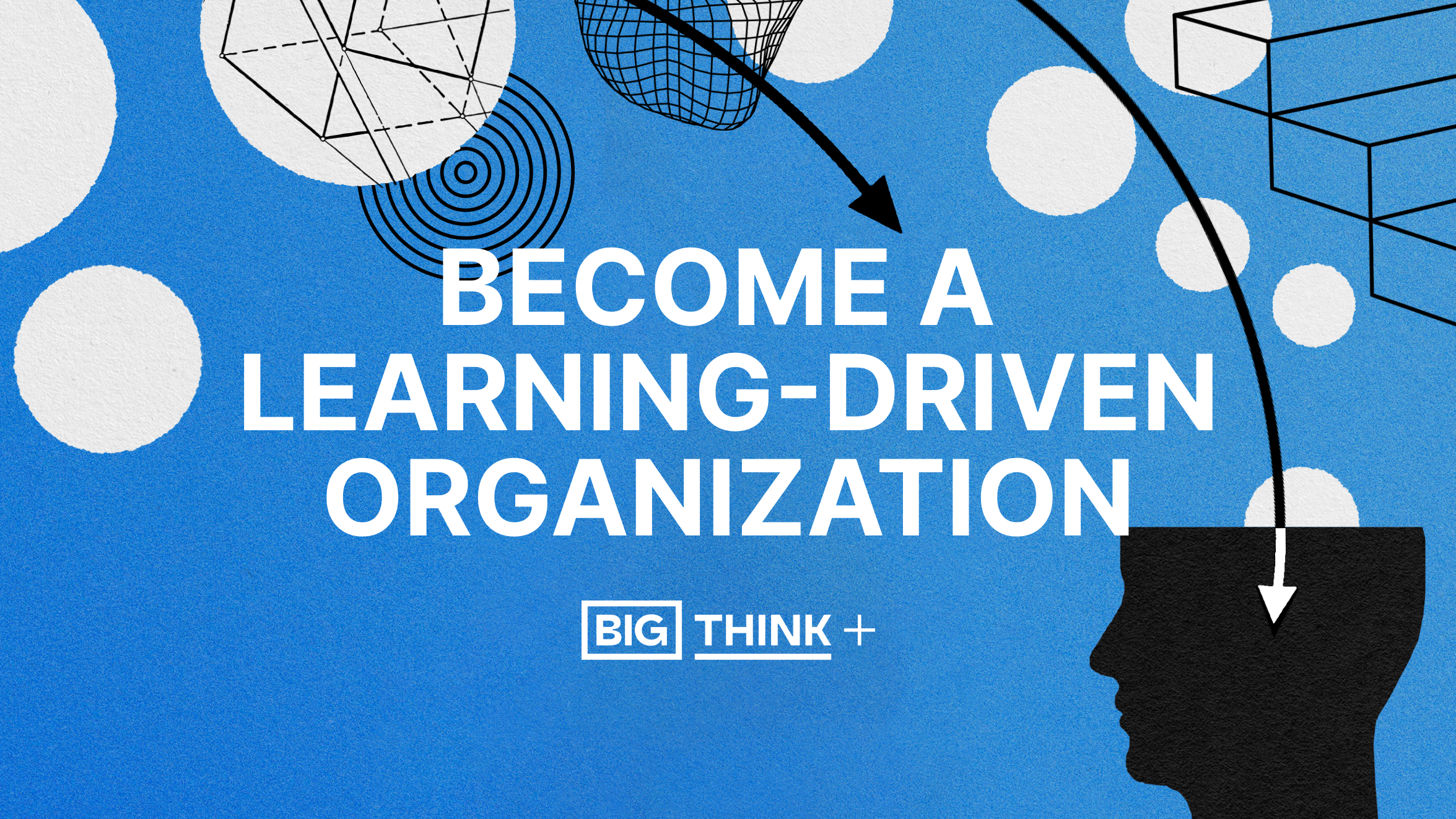 Become a learning-driven organization.
