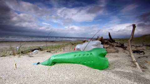 A plastic bottle sitting in the sand.