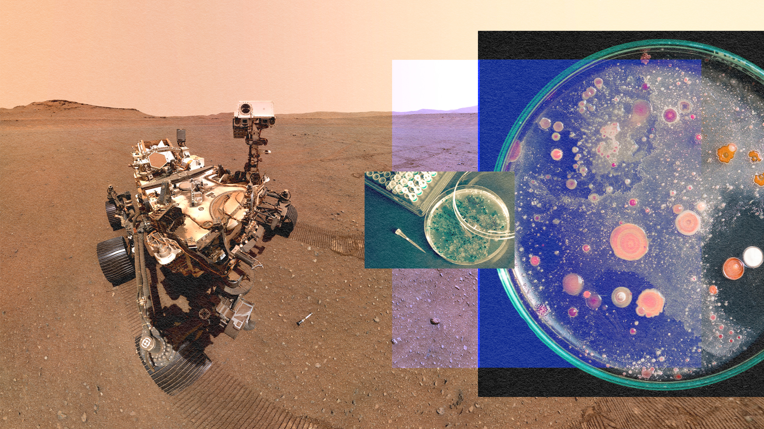 Nasa's curiosity rover on mars.
