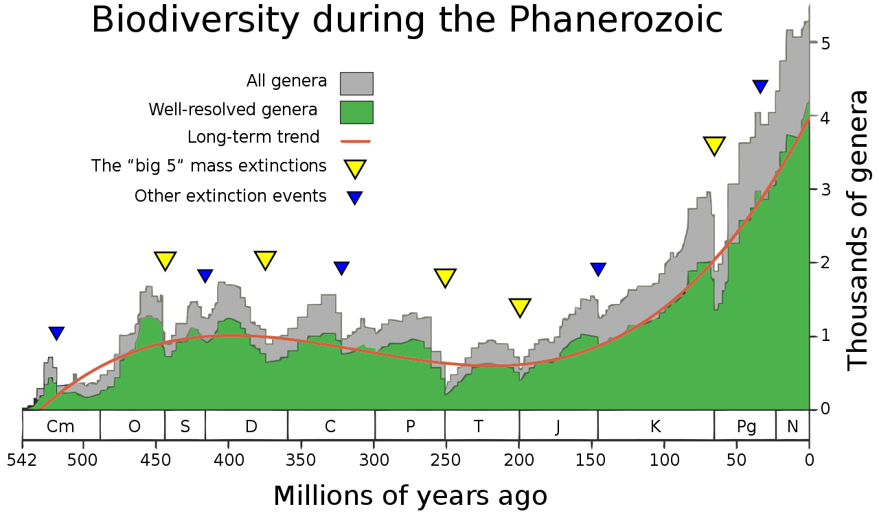 Stratigraphic chart showing geological time periods with symbols indicating major mass extinctions and when mammals appeared.