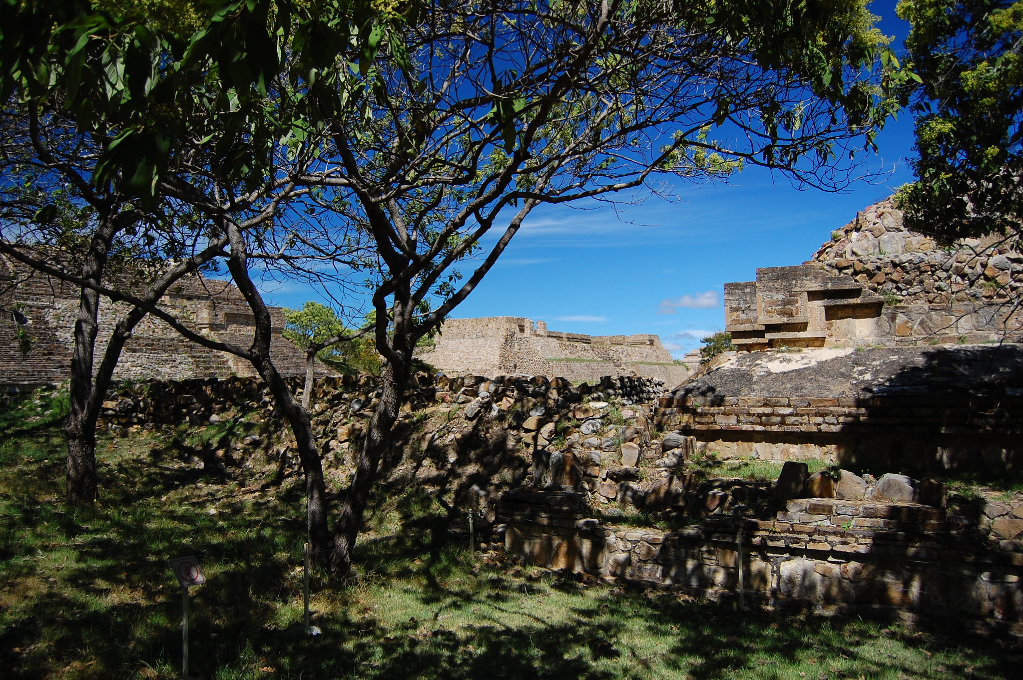 Ancient stone structures partially covered by trees and undergrowth under a clear blue sky.