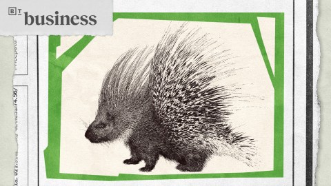 A detailed black and white illustration of a porcupine is centered on a worn paper background with a green border.