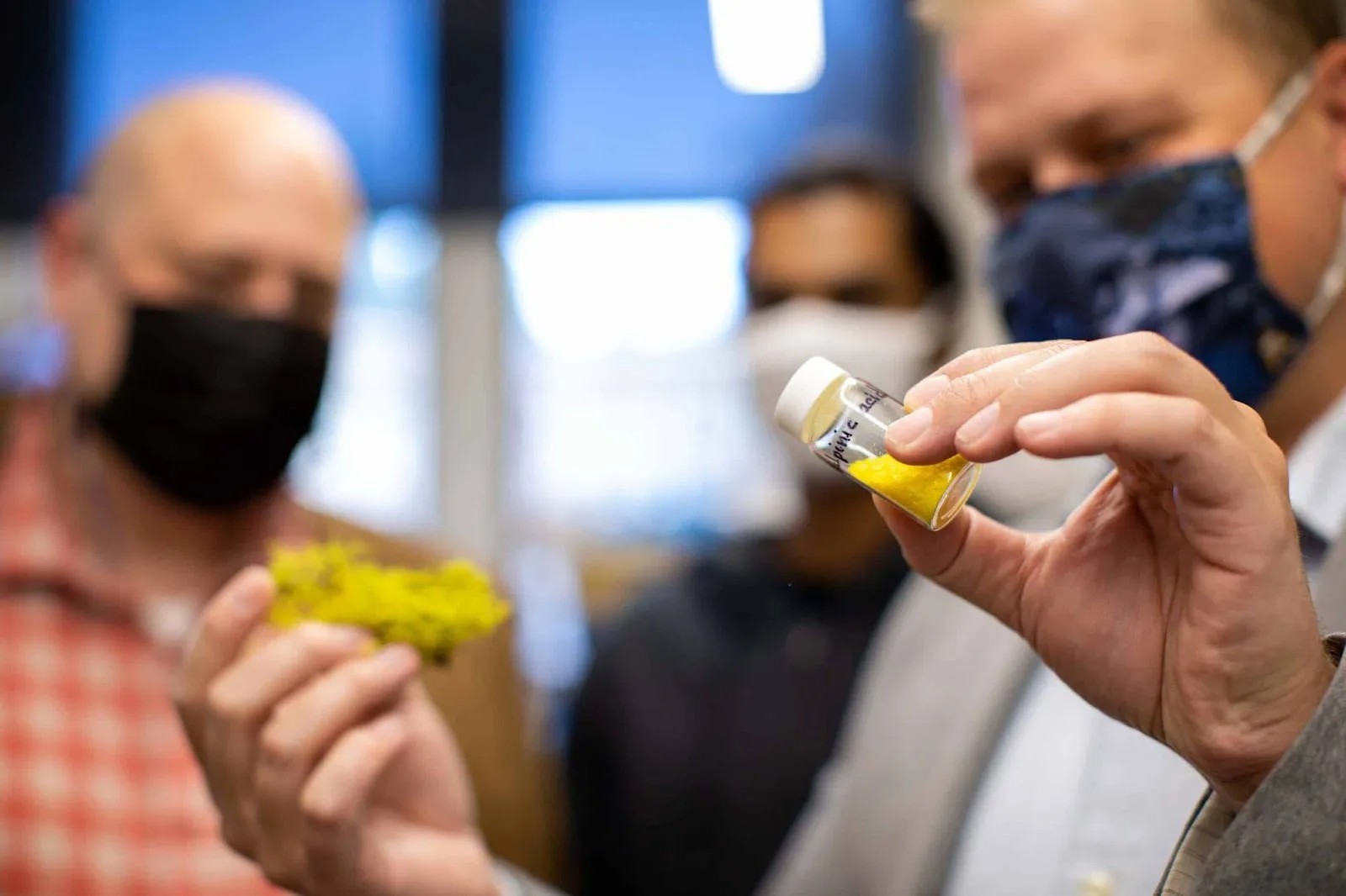 Three people wearing face masks examine a small container of yellow powder and a piece of green material, likely moss or similar vegetation, in a lab or research setting.