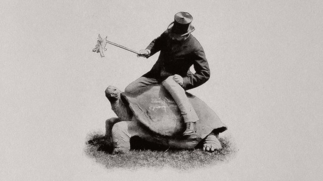 A man in a suit and bowler hat sits on a large turtle, holding reins attached to the turtle's head, symbolizing a steady change in pace.