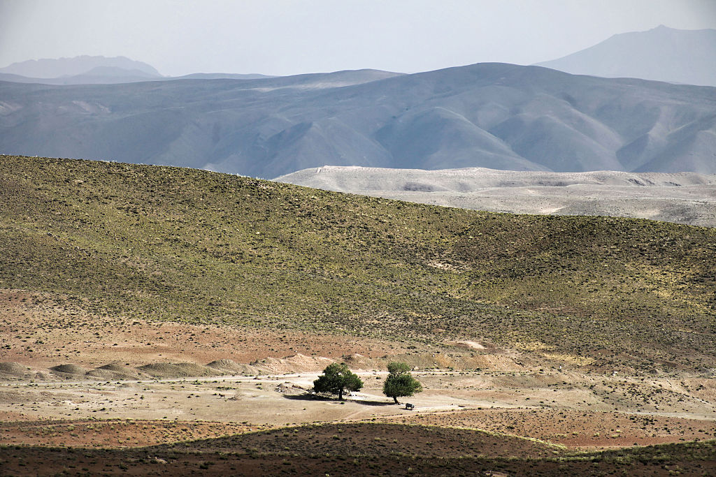 Two trees stand isolated in a vast, arid landscape with undulating hills and distant mountain ranges under a hazy sky.