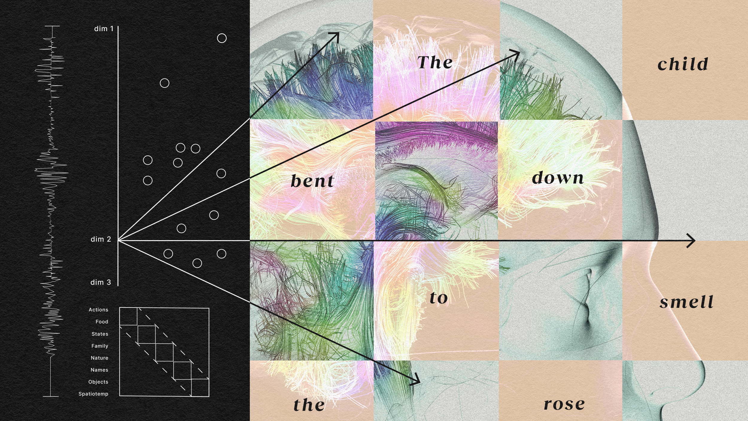 A diagram combines a 3D brain connectome with text and geometric shapes, with arrows pointing to areas labeled "The child bent down to smell the rose." A list and graph are shown on the left, illustrating how words in the brain are processed.