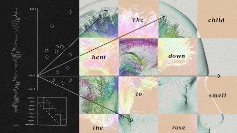 A diagram combines a 3D brain connectome with text and geometric shapes, with arrows pointing to areas labeled "The child bent down to smell the rose." A list and graph are shown on the left, illustrating how words in the brain are processed.