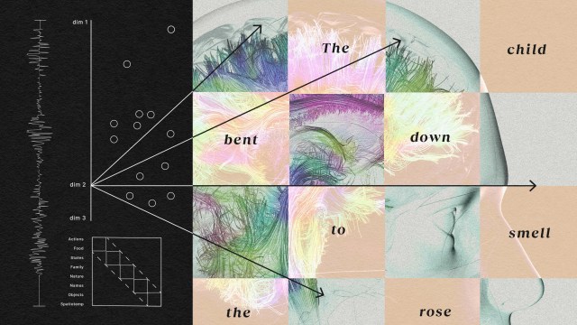 A diagram combines a 3D brain connectome with text and geometric shapes, with arrows pointing to areas labeled "The child bent down to smell the rose." A list and graph are shown on the left, illustrating how words in the brain are processed.