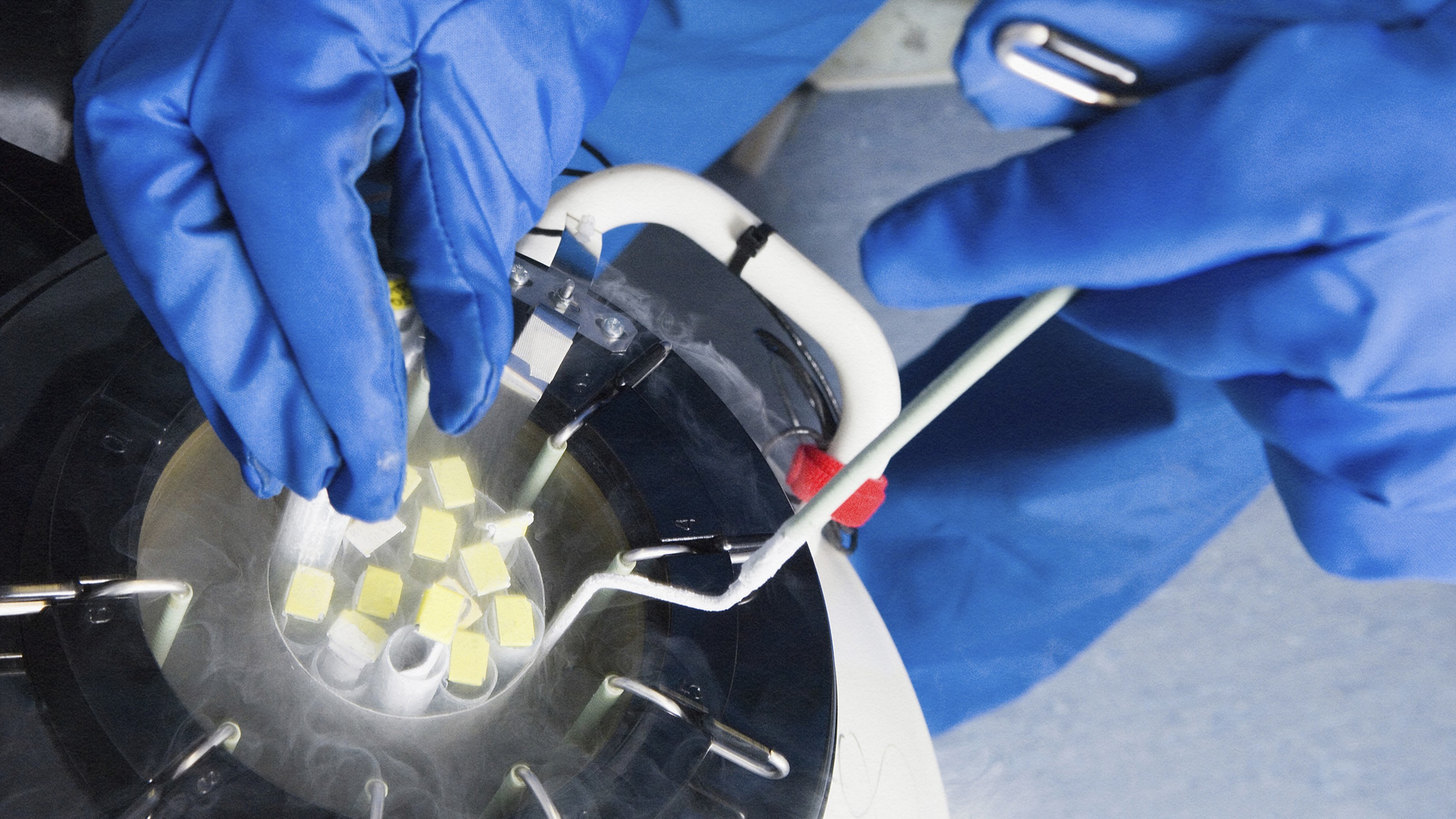 A close-up of gloved hands handling a cryogenic storage device with straw container tubes inside, emitting visible vapor.