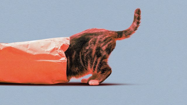 A cat, driven by curiosity, has its head and upper body inside a crumpled orange paper bag, with its tail and hind legs visible against a plain light blue background.