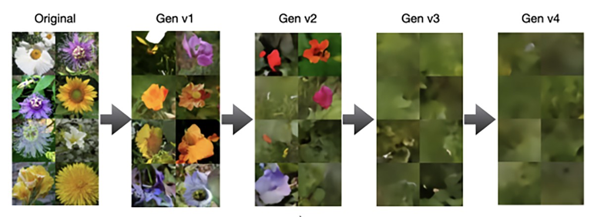 A sequence of images depicting the progressive degradation of flower images through four generative versions. The original image is clear, while Gen v4 is highly pixelated and indistinct.