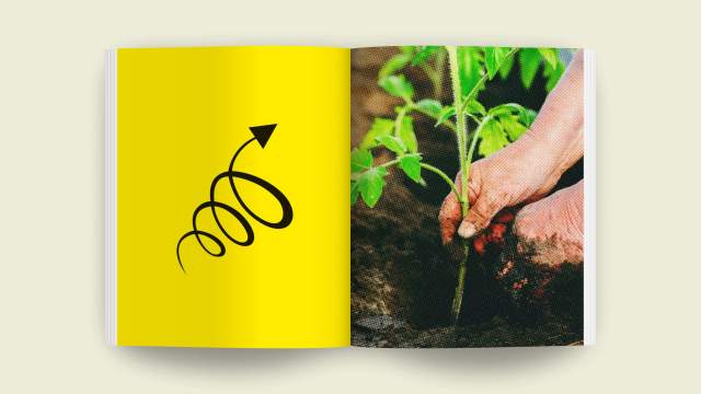 Open book showing a hand planting a small green plant on the right page, symbolizing restoration, and a bold black squiggly arrow on a yellow background on the left page, illustrating the dynamic flow of networking.