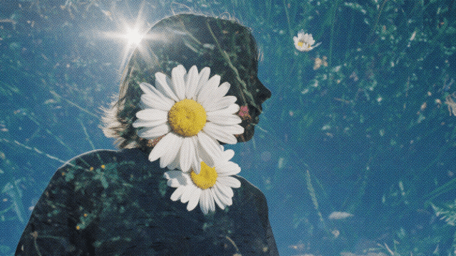 Silhouette of a person with their back to the camera, superimposed with daisies and a bright sun above, set against a clear blue sky, evoking a sense of wonder.