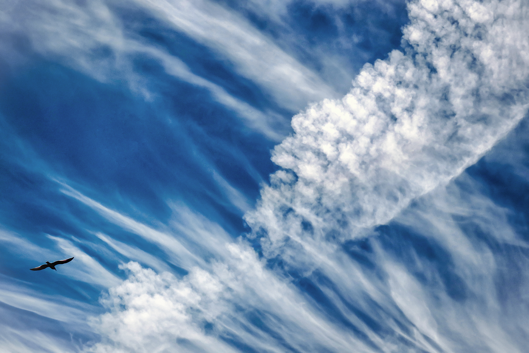 Under the expansive blue sky adorned with streaky white clouds, a lone bird gracefully soars in the top left corner, embodying tranquility in one of Earth's best astronomy locations.