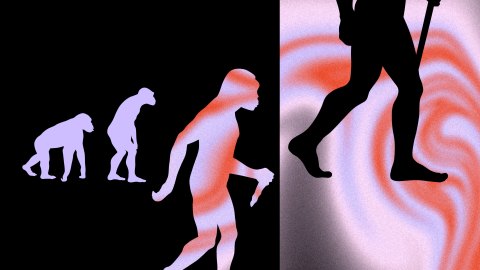 Illustration of human evolution with silhouettes of ape to human walking against an abstract background with swirling red and white patterns.