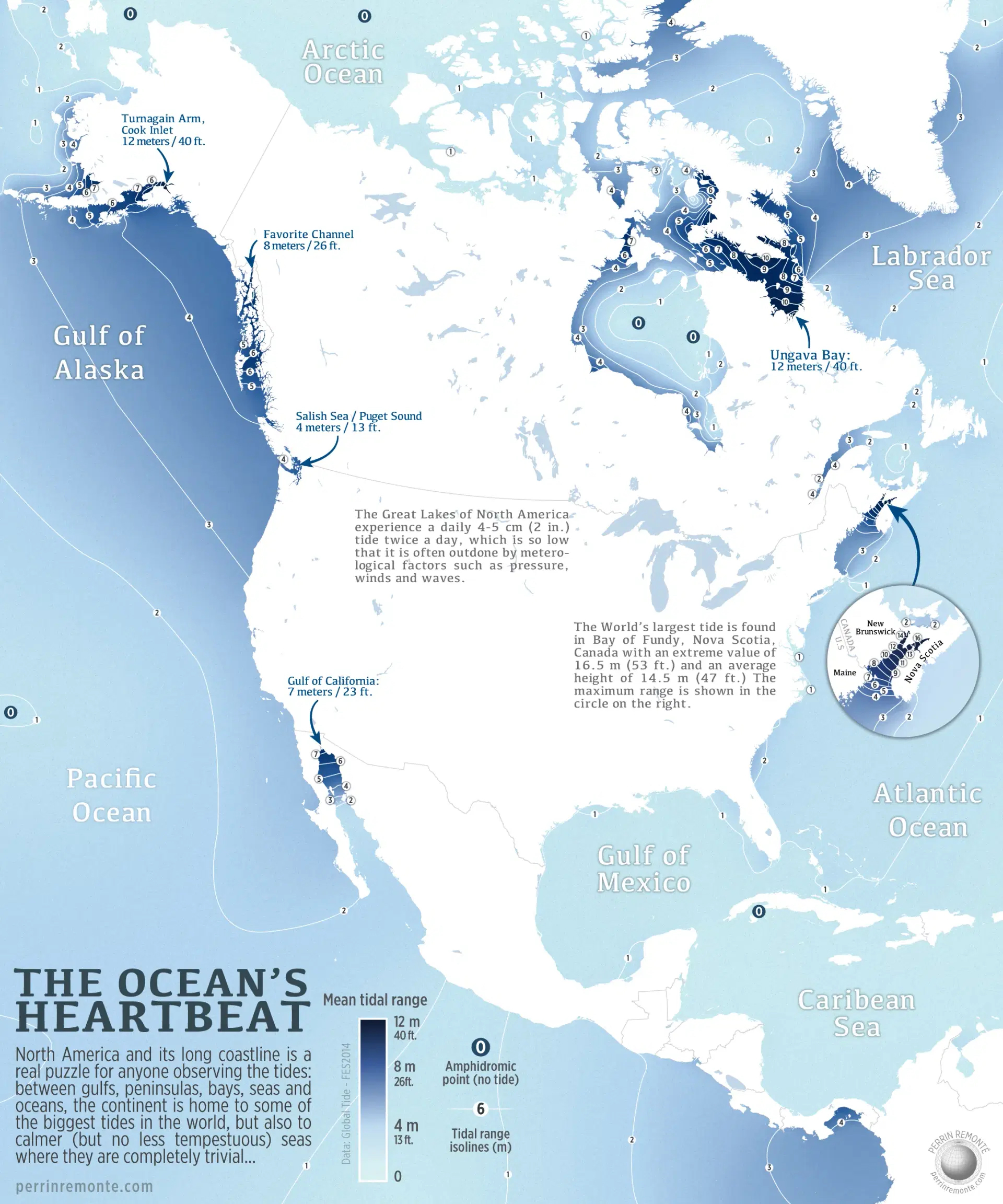 Map of North America showing oceans, gulfs, and tidal ranges. Includes details on large tides in the Bay of Fundy and small tides in the Gulf of Mexico.