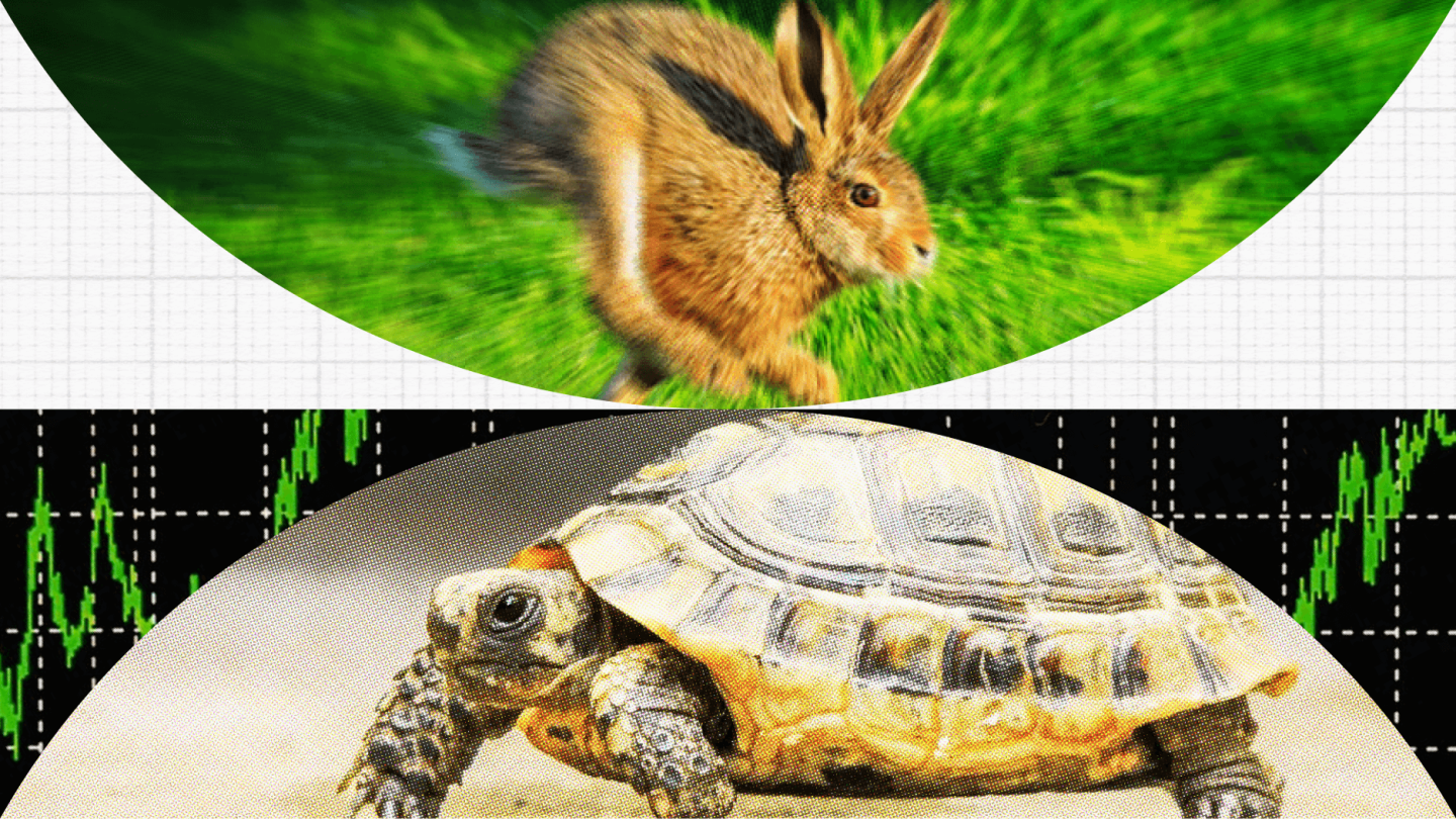 A rabbit on grass above a tortoise on sand, with graph-like lines in the background, symbolizes long-term thinking.