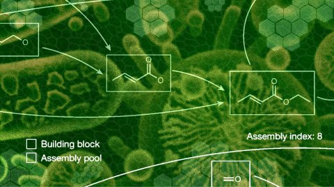 A green and abstract background with connected molecular diagrams and labeled sections: "Building block" and "Assembly pool," with an "Assembly index: 8.