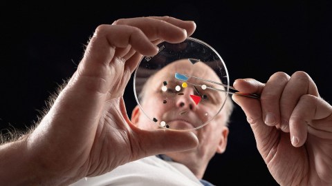 Person examining a petri dish with tweezers, holding small colored objects, against a dark background.