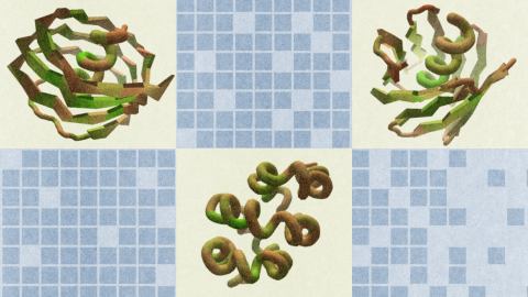 Three different 3D protein structures are displayed on a light grid-patterned background, each occupying a separate quadrant in the image.